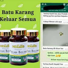 Batu karang adalah pembentukan batu di dalam saluran air kencing dan ia akan menyebabkan sakit belakang yang teruk. Pecah Beling Ubat Batu Karang Hempedu Shopee Malaysia