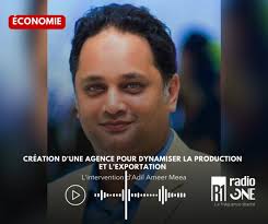 Le ministre Shakeel Mohamed accuse l'ancien gouvernement d'avoir induit le  bureau de l'audit en erreur. Selon lui, seulement 38 logements sur 796  réalisés par la NSLD ont été effectivement livrés. Il pointe