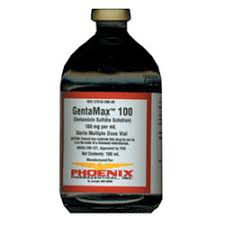 Image result for Gentamicin