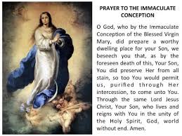The immaculate conception of the blessed virgin mary solemnity december 8. Happy Feast Of The Immaculate Conception