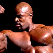 As for steel posts vs wood, i like steel because they can be installed to remain adjustable. Ronnie Coleman Height