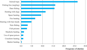 Image result for Heisteria zimmereri