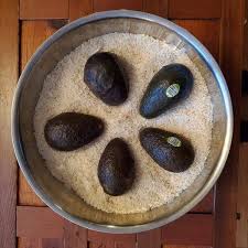 Image result for Avocado Dark 1969 Tappan