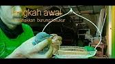 Untuk menjadikan burung sebagai pikat. Cara Mudah Membuat Sangkar Layang Tekukur Youtube
