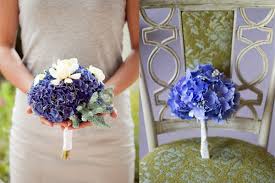 Royal blue ivory white rose hydrangea cascading bridal bouquet & boutonneire. Blue Hydrangea Wedding Flowers