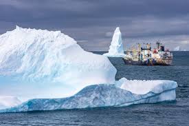 Listen to the audio pronunciation in the cambridge english dictionary. Double Whammy Of Warming Overfishing Could Spell Disaster For Antarctic Krill Scientific American