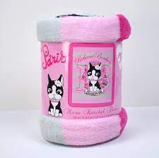 Rebecca Bonbon Micro Raschel Throw Blanket -50x60 Paris Pink Bedding Hello  Kitty | eBay