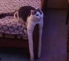 Pin On Elkepeszto Dolgok