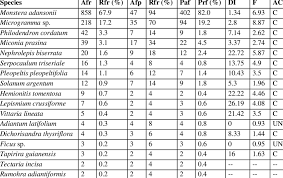 Image result for Vittaria guineensis