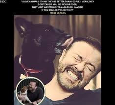 Animals LOVE is amazing, constant and unconditional They really lift us up