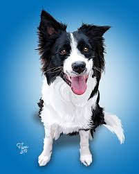 Border Collie Custom Portrait Australian Shepherd Painting Etsy In 2020 Custom Pet Portraits Custom Dog Portraits Dog Portraits