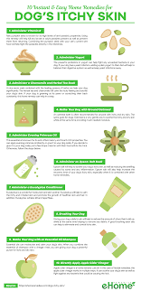 Home Remedies For Dogs Itchy Skin Infographic Dog Skin Remedies Dog Remedies Itchy Dog