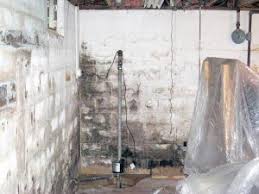 While this is fine, there are other types of mold to be concerned about: Basement Mold Removal Cleaning Prevention With Anabec