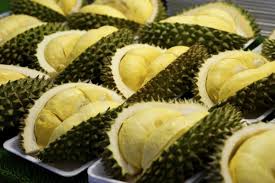 Durian matahari durian ini berasal dari cimahphar bogor, dagingnya kering, tebal dan kuning cerah. 5 Tips Memilih Buah Durian Yang Sudah Matang Biar Gak Zonk