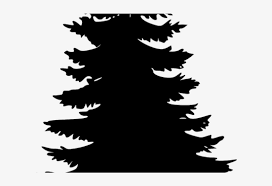 🎄 christmas tree emoji meaning. Pine Tree Vector Christmas Trees Png Black Free Transparent Png Download Pngkey