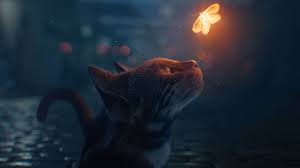 Cat Fantasy Butterfly 1920x1080 Cat Wallpaper Cats Cute Cats