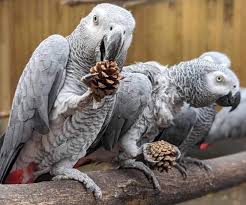 Sensualsunshine onlyfans after seeing another girla