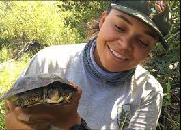 A cacophony of croaking bullfrogs under a dark night sky might seem like  one of nature's sweetest sounds. But not so much for turtles in Yosemite  National Park. A new study shows