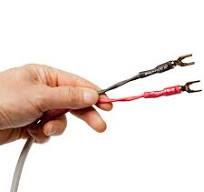 AudioQuest Type 4 Speaker Cable - PREMIUM No Frills Termination - 8 Foot  Pair - Bananas to Spades