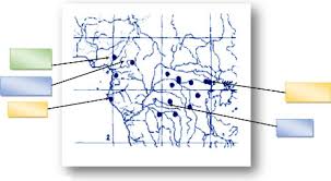 Image result for Mostuea batesii