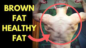 Maybe you would like to learn more about one of these? Brown Fat Vs White Fat How To Increase Brown Fat The Healthy Fat Youtube