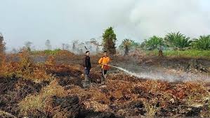 Landform tersebut terletak dibelakang tanggul sungai (leeve). Lahan Gambut In English