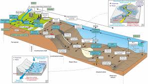 Plastic centre sdn bhd was bought out by advantage partners on may 31, 2018. Frontiers Dispersion Accumulation And The Ultimate Fate Of Microplastics In Deep Marine Environments A Review And Future Directions Earth Science