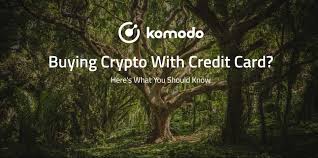 That's because the fees and charges associated with these transactions can make it very difficult to turn a profit on your investment. Buying Crypto With Credit Card Here S What You Should Know
