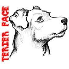 How To Draw A Terrier S Face Dog S Face With Easy Steps How To Draw Step By Step Drawing Tutorials How to draw a basic dog face.