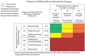 the new international recommendations for chronic kidney