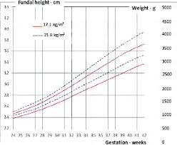 Fundal Growth Chart Fundal Height Using Finger Widths Beyond