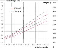 fundal growth chart fundal height using finger widths beyond