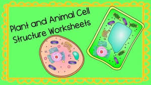 Animal cell label me printout. Animal Cell Print Out Worksheets Teaching Resources Tpt