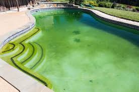 When Algae Turns The Pool Water Green You Can Kill It By Shocking The Pool With Household Chlorine Bleach Green Pool Pool Algae Green Pool Water