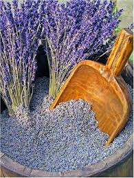 Extra, select, and super grades of whole lavender flowers. Love To Garden Lavender Flowers Dried Lavender Plants