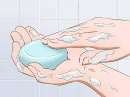 How To Make A Kitten Poop 9 Steps With Pictures Wikihow