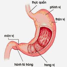 Phù đổng thiên vương (chữ hán: Hang Vá»‹ Dáº¡ Day La Gi Va Náº±m á»Ÿ Ä'au