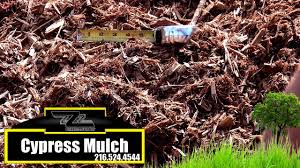 Check spelling or type a new query. Cypress Mulch Three Z Supply Inc