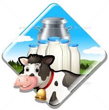 Dairy Milk Cow With Sign Dairy Milk Cow Milk Cow
