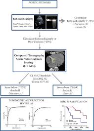 Computed Tomography Aortic Valve Calcium Scoring In Patients