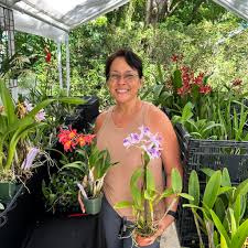 Image result for Angraecopsis amaniensis