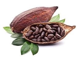 They can even help prevent. Best And Worst Foods For Circulation Cocoa Flavablog