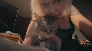 Strippie cat not to old but nearly got hit by about 5 cars and don't think  it's ment to be out but I got my dog and he's just not helping at