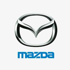 Ok guys, today, lets see what they usually have in the half cut shop (kedai potong). Mazda Battery Fitment Guide Batteries Plus