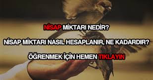 Nisap Miktari Nedir Nasil Hesaplanir Ne Kadardir