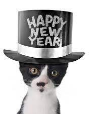 January Gets A Bad Rap Resolve To Start 2014 With A Happy Dance Blogpaws Cat Lovers Cat Pics Kitten