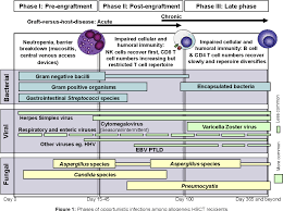 For this to occur, the mother must contact a cord blood bank. Pdf Infectious Complications Of Hematopoietic Stem Cell Transplantation Semantic Scholar