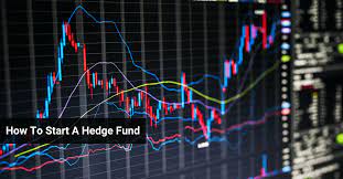 You'll be able to understand how a hedge fund works, how they manage the funds and other relevant details that you need to know for your hedge. How To Start A Hedge Fund Formation Raising Capital Team And Life