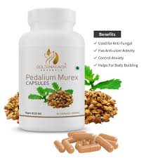 Image result for Pedalium murex