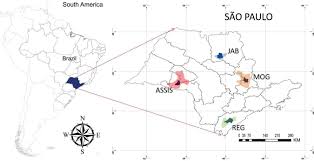 SciELO - Brasil - Agrometeorological models for estimating sweet cassava  yield Agrometeorological models for estimating sweet cassava yield